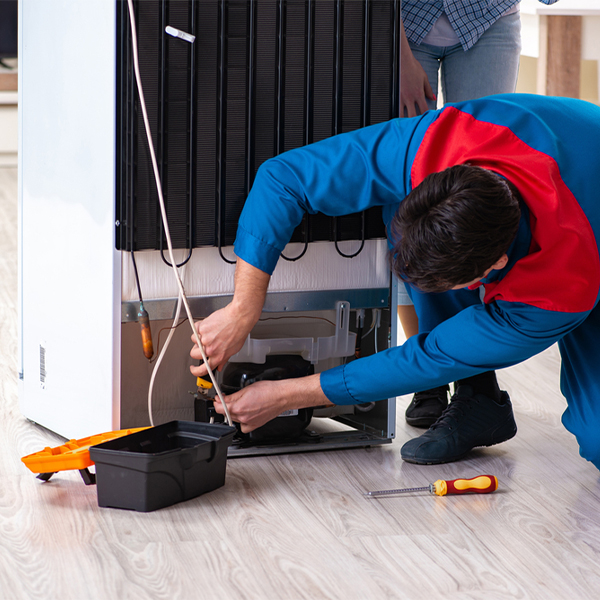 is it cost-effective to repair a refrigerator or replace it entirely in Lapeer County